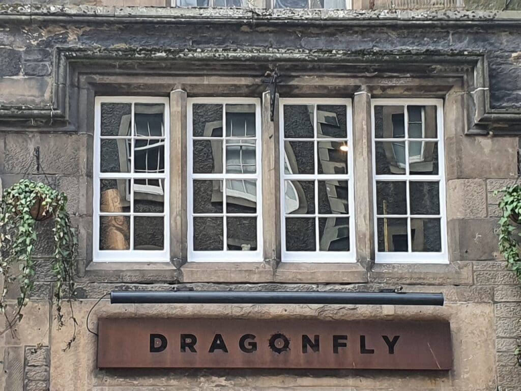 Dragon fly windows
