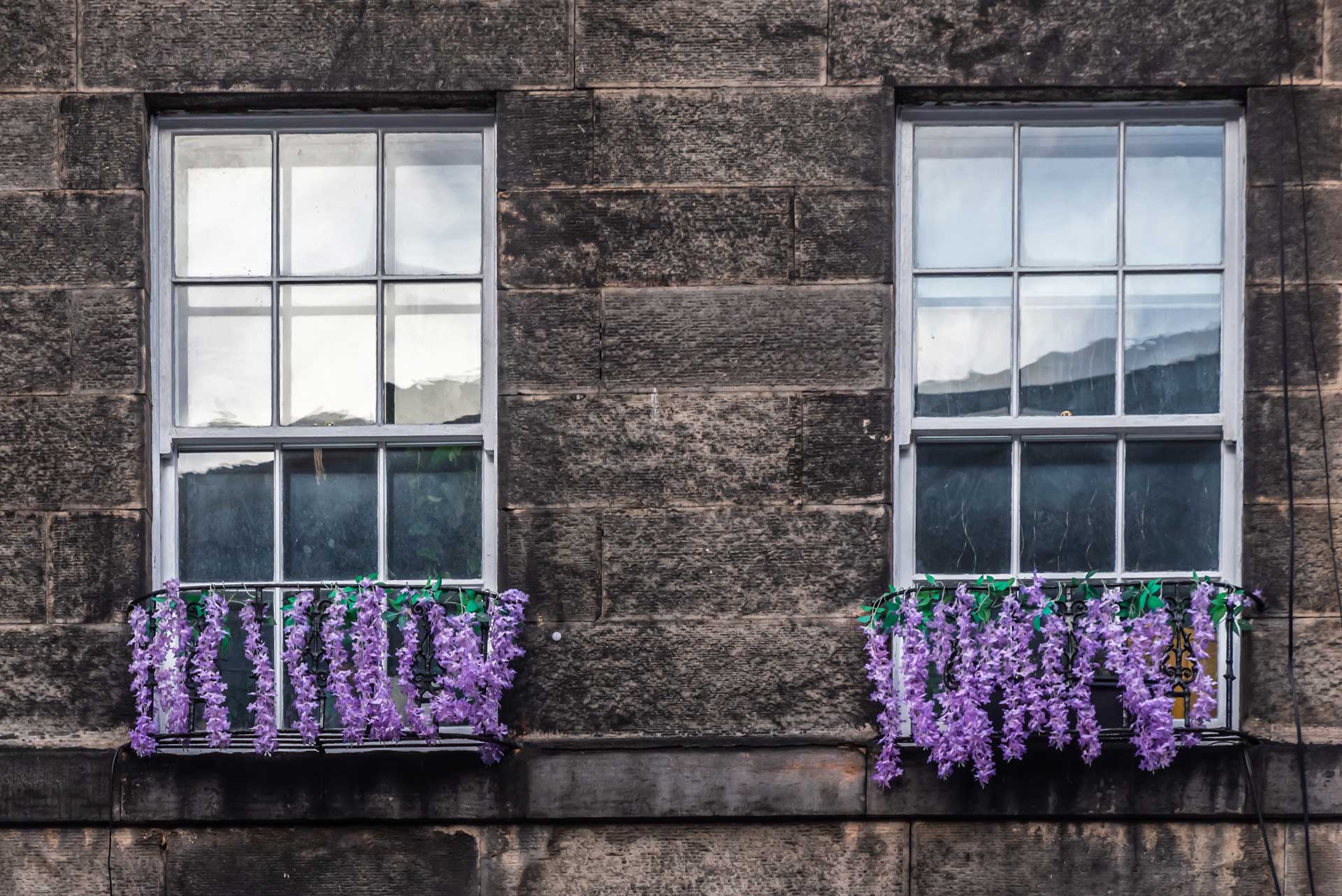Image of a Sash and Case window in Edinburgh, restored by the Sash and Case Painting Co